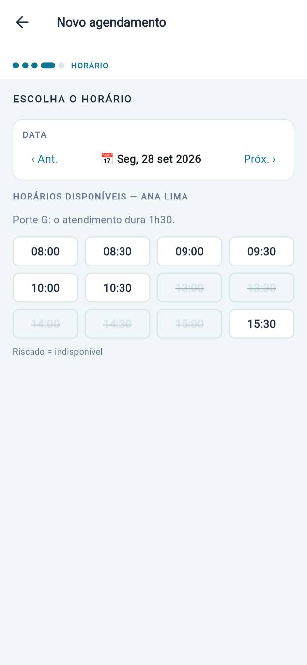 Escolha de horário para porte G: horários que invadiriam outro atendimento aparecem riscados